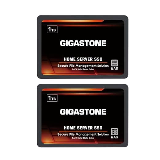 Gigastone Home NAS SSD 1TB (2er-Pack) 24/7 Dauerhaft TLC Hohe Dauerhaltbarkeit Persönlicher Server Cloud Datenspeicher RAID 3D NAND 2,5 Zoll SATA III Interne Solid State Festplatten
