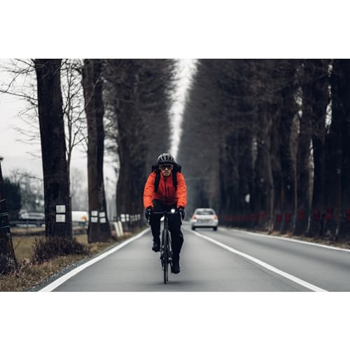 GOREWEAR GORE-TEX PACLITE® Hose Herren, Black, L