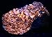 1493 Gram Fluorescent Afghanite Cluster W/Wernerite Scapolite &Pyrite On Matrix