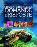 Il grande libro delle domande e delle risposte 8895870433 Book Cover