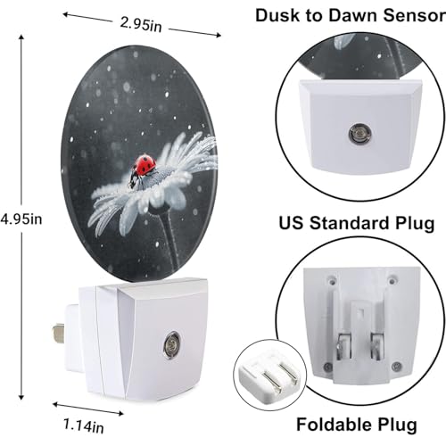 Image of Night Light Ladybug on White Daisy Flowers Dusk to Dawn Plug-in Nightlight Auto Sensor for Bedroom Bathroom Hallway Living Room
