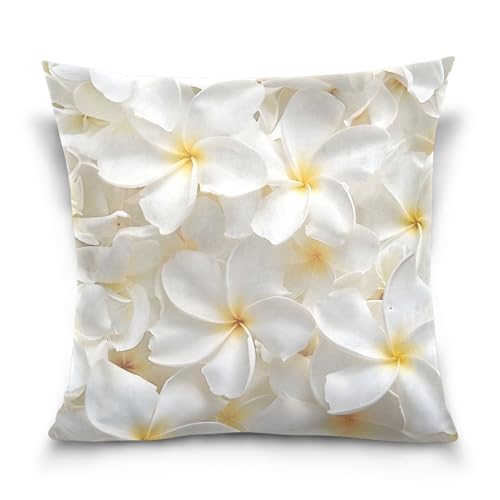 �N�b�V�����J�o�[ ������� �������J�o�[ 50×50cm �v�������A �z���C�g �� ���z�c�J�o�[ �\�t�@�w���ăJ�o�[ �P���Z�b�g �l�C �������J�o�[ �����` �p�^