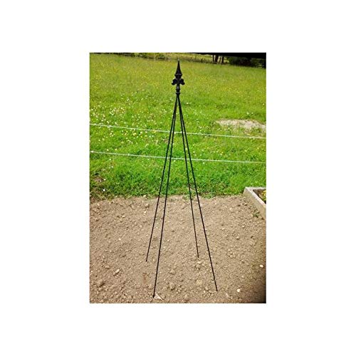 L'Héritier Du Temps Tuteur Pyramide Façon Obélisque Treillis de Jardin Tuteur à Fleurs Plantes Extérieur en Fer Forgé Noir 40x40x195cm