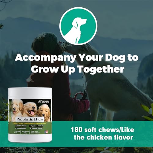 Probiotics for Dogs – Digestion & Health Supplement, Support Gut Health, Diarrhea, Digestive Health & Seasonal Allergies, Clinical Digestive Enzymes & Super Vitamins (180 Soft Chews Chicken) Probiotics for Dogs – Digestion & Health Supplement, Support Gut Health, Diarrhea, Digestive Health & Seasonal Allergies, Clinical Digestive Enzymes & Super Vitamins (180 Soft Chews Chicken)