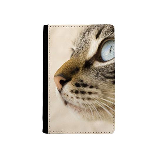 Portefeuille de voyage passeport chaton gris aux yeux bleus doux
