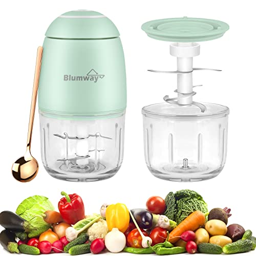 300ML Electric Mini Food Processor,60W Wireless Food Press Garlic Chopper,Mini Blender For Garlic, Vegetable, Fruit, Onions,Chili,Meat, Salad, Baby Food, Glass Container (Green) (Green)