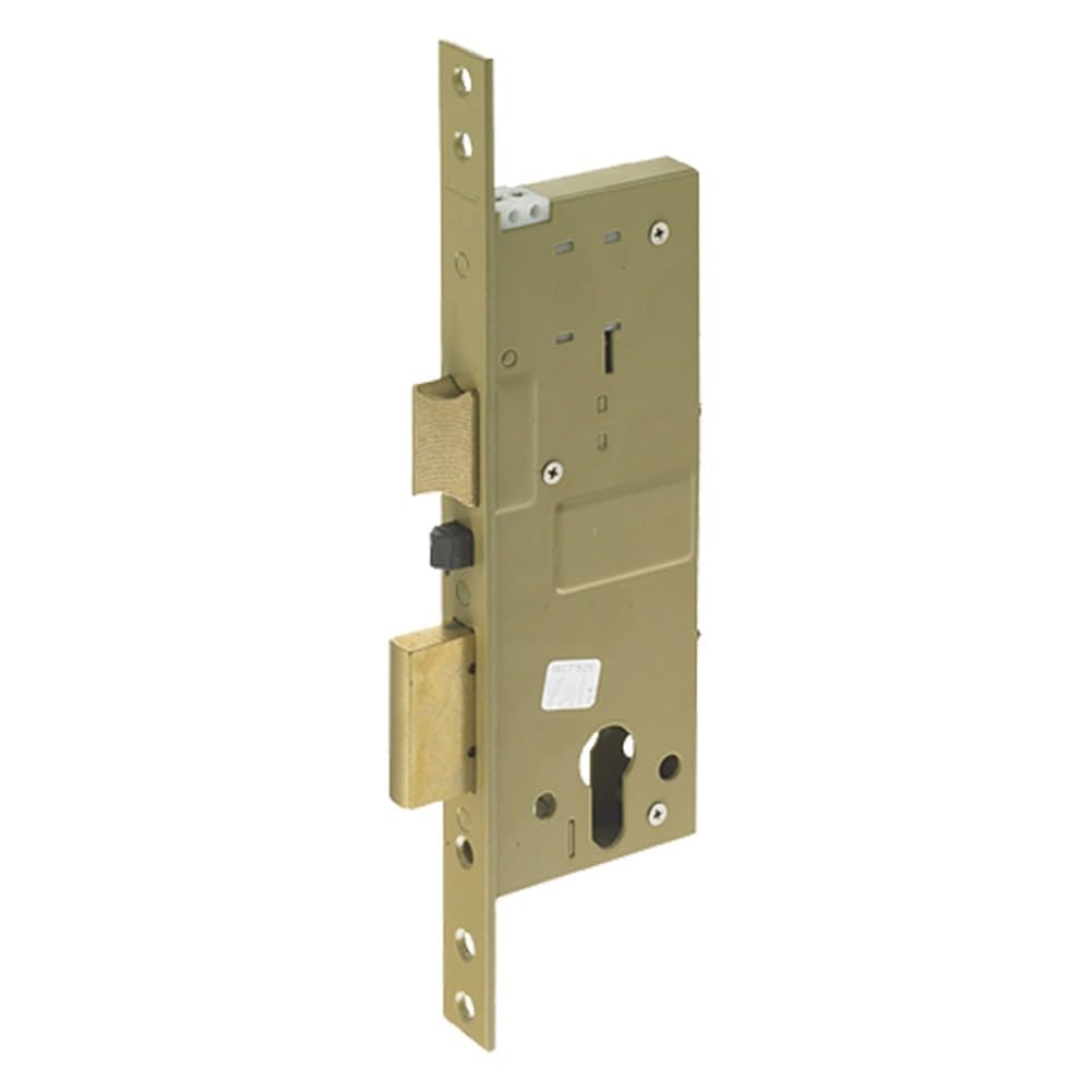 Serratura Elettrica Da Infilare Per Porta Legno Art. 581 Con Ritrazione Scrocco E Catenaccio Azionati Dalla Chiave, Dal Pulsante Meccanico E A Distanza Mediante Impulso Elettrico A Basso Voltaggio (15W-​12V). Frontale 23 Mm, Catenaccio 2 Mandate. Finitura