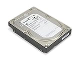 Seagate 2TB Enterprise Capacity HDD SATA 6Gb/s 128MB Cache 3.5-Inch Internal Bare Drive (ST2000NM0033) (Renewed)