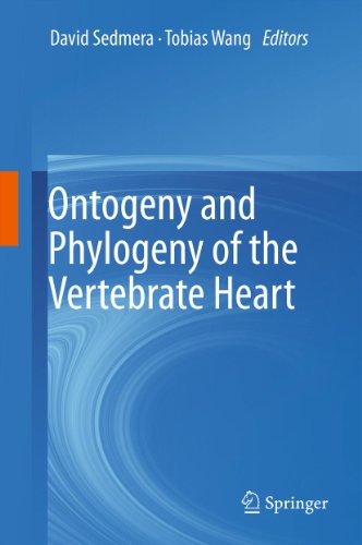 Ontogeny and Phylogeny of the Vertebrate Heart