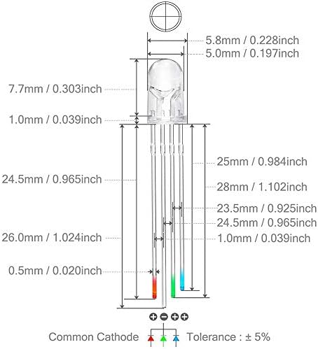 Youmile 100Pack 5mm LED Light Emitting Diode Common Cathode 4Pin RGB Tri-Color(Red/Green/Blue) Clear Transparent Round LED Lamps Buld For Arduino, PCB
