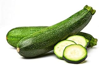 Squash Zucchini Organic (Itln), 1 Each