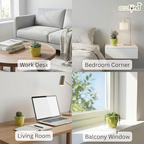 Image of ecofynd 4 Inch Ceramic Plant Pots with Drainage Hole, Modern Decorative Clay Flower Pots for Indoor Plants, Home Garden Decor for Living Room, Bedroom & Interior Spaces (CPOT043-LGN)