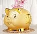 Mose Cafolo Gold Piggy Bank ~ We Wish You Wealth and Success Saving Box Piggy Bank Coin Bank for Home Decor, Holiday and Birthday Gift