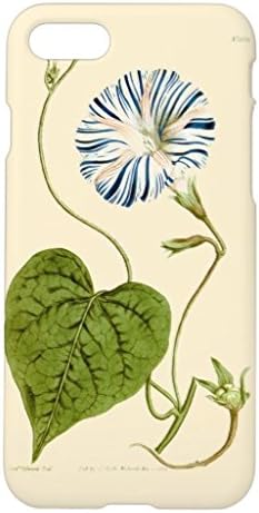 Amazon Co Jp 朝顔の青の絵iphone7ケース 専用 スマホケース 携帯電話ケース おしゃれ おもしろ かわいい 家電 カメラ Amazon Co Jp 朝顔の青の絵iphone7ケース 専用 スマホケース 携帯電話ケース おしゃれ おもしろ かわいい 家電 カメラ