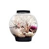 biOrb Classic Aquarium