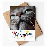 Cartes de mariage avec photos de chat regardant vers le haut, enveloppes de vœux