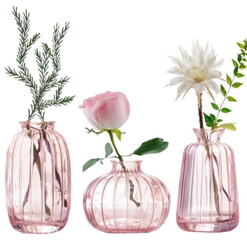 MEETOZ Glass Bud Vase Set of 3- Small Vases for Flowers, Home Table Flower Decor, for Office or Wedding Events