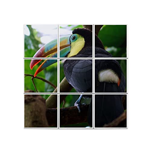 Carreaux céramique toucan oiseau pour décorer une salle de bain ambiance forêt tropicale