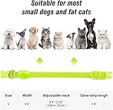 Visinite Leuchthalsband Hund,Wasserdicht,Verstellbare,USB Aufladbar LED Hunde Halsbänder, Leuchtet im Dunkeln,Leuchtendes Hundehalsband hält Ihren Kleinen Hund Sichtbar und Sicher,Grün,S