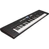 Yamaha NP-V80 NPV-80 - Piano digital (plástico, 76 teclas, 2 altavoces integrados, conector tipo USB), color negro