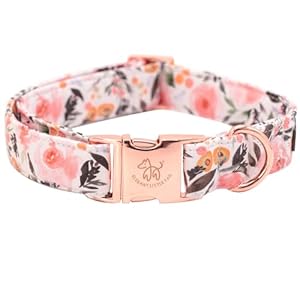 Elegant little tail Dog Collar, Pink Floral Pattern Pet Collar Summer Durable Cute Dog Collars Male or Female Pet Gift Adjustable Dog Collar for Medium Dogs Elegant little tail Dog Collar Pink Floral Pattern Pet Collar Summer Durable Cute Dog Collars Male or Female Pet Gift Adjustable Dog Collar for Medium Dogs