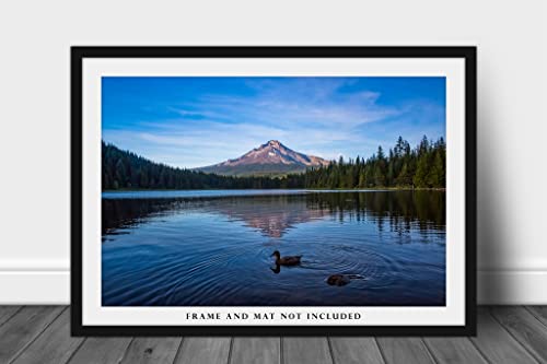 Landscape Photography Print (Not Framed) Picture Of Mount Hood Overlooking Trillium Lake On Summer Evening In Oregon Pacific Northwest Wall Art Nature Decor 4X6 To 40X60 #TOP2