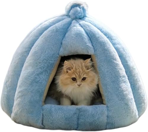 CokBlu�L�n�E�X �L�p�x�b�h �~�p �h�[���^ �y�b�g�x�b�h ���^�� �������p �ۉ��h�� �_�炩 ���� ���� ����~�� �����p �N�b�V�����t�� (M�i20�҈ȓ��𐄏��j,�u���[)