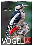 eulen nistkasten selber bauen VIELFALT - Bildkalender in verschiedenen Formaten z.B. DIN A5, DIN A4, DIN A3 sowie DIN A2. Ob Naturmotiv, Gemälde oder Fotos, ideal für ein persönliches Wohlfühlambiente.