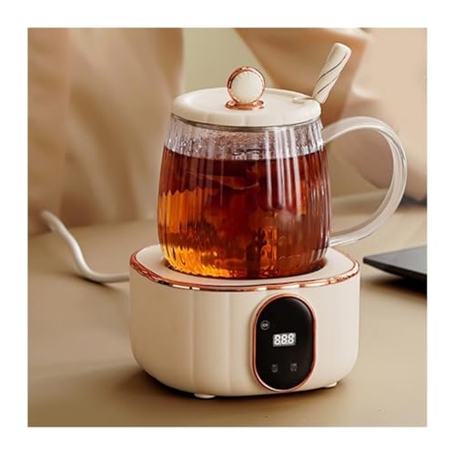 Tetera eléctrica de vidrio multifuncional 600ml miniatura 2