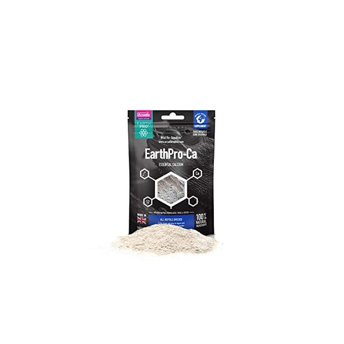 Arcadia EarthProCA 100g Excellent Calcium Source Safe & Easy