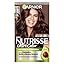 Nutrisse Iced Coffee Brown 4.15