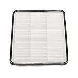 Champion CAP9286 Engine Air Filter
