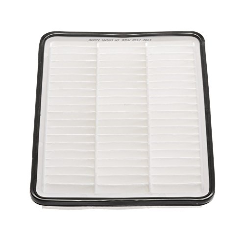 Champion CAP9286 Engine Air Filter