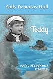  Teddy: Book 2 of Orphaned Treasures