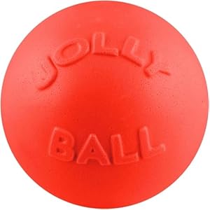 Jolly pets bounce n play dog toy ball orange 45 inchessmall model number 2545 or  urban country home decor