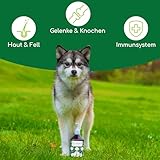 Bio Hanföl für Hunde und Katzen 500ml I 100% Natürlich und Kaltgepresst - Unterstützung für Fell & Haut durch Omega 3-6-9, Beruhigungsmittel für Hunde - DE-ÖKO-060