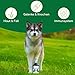 Bio Hanföl für Hunde und Katzen 500ml I 100% Natürlich und Kaltgepresst - Unterstützung für Fell & Haut durch Omega 3-6-9, Beruhigungsmittel für Hunde - DE-ÖKO-060