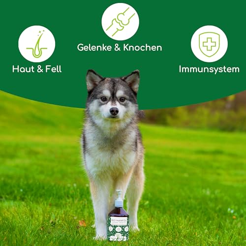 Bio Hanföl für Hunde und Katzen 500ml I 100% Natürlich und Kaltgepresst - Unterstützung für Fell & Haut durch Omega 3-6-9, Beruhigungsmittel für Hunde - DE-ÖKO-060