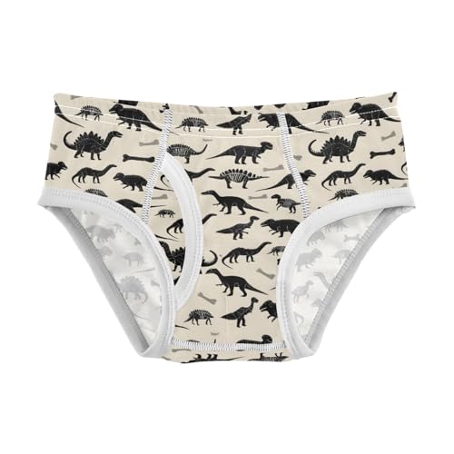 Dinosaur Pattern Boys' Underwear 100% Cotton Boys' Briefs Soft Toddler Underwear