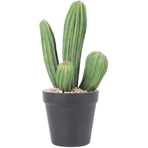 Artificial Cactus Plants for Home and Office Décor Cover