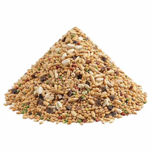 Miniatura 6 de Prestige Loro Parque African Parakeet Mix Grandes Periquitos 2 X 1 Kg
