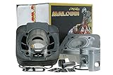  MALOSSI Rennzylinder 68ccm für GILERA/Piaggio 50ccm 2T AC Grauguß, 2 Kolbenring(e), KB Ø 12mm, inkl. Zylinderkopf, Ø 47,0mm