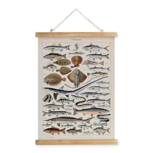 MIDEFINCH Vintage Marine Life Linen Poster with Wooden Scroll Frame
