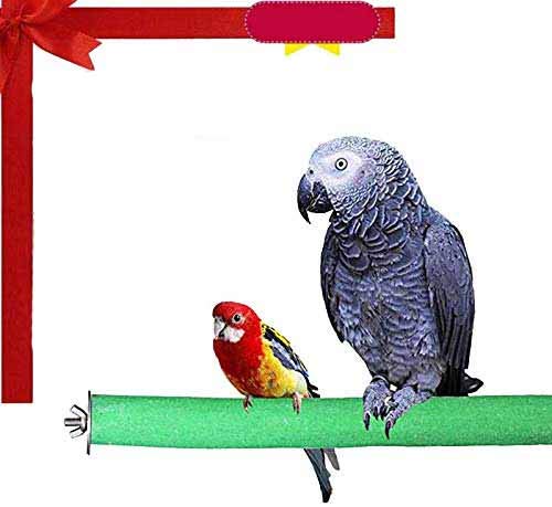 Western Era Set of 2 Safe Wood Sand Perch/Stand/Toy for Birds (Light Weight) (Size - 6") (B0878W78D8) Amazon Price History, Amazon Price Tracker