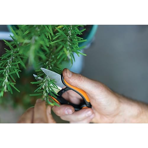 Image of Fiskars Herb Garden Scissors, 5 inch Garden Shears, Handheld Herb Snips with Sheath and SoftGrip Handle, Dishwasher Safe