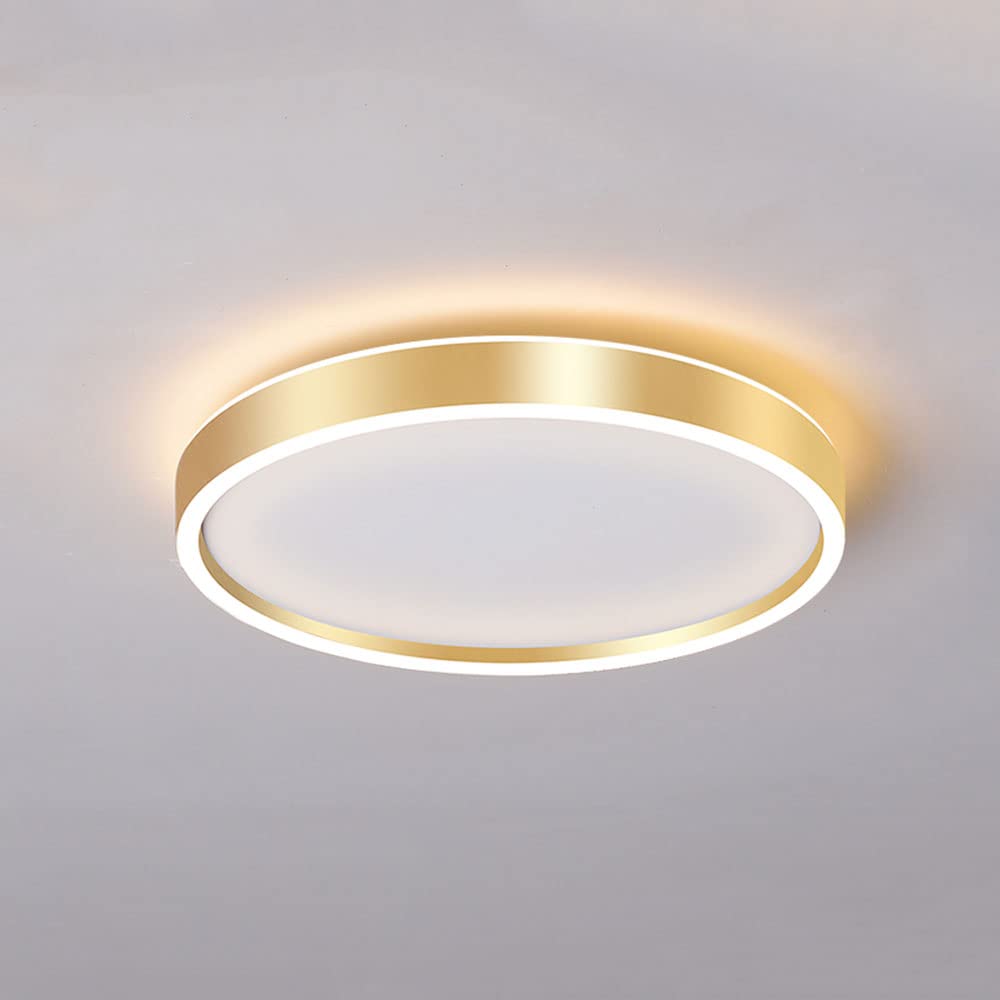Plafonniers LED De Luxe Légers en fer forgé circulaire au design ultra-mince