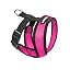 Flamingo Pink