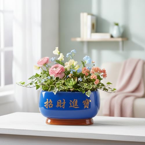 Image of Xtore Elegant Sky-Blue Ceramic Bonsai Planter Pot for Indoor & Tabletop Decor | Glossy Finish Bowl with Artistic Raised Detailing & Sturdy Feet Base (Pack of 1, Planter Only)