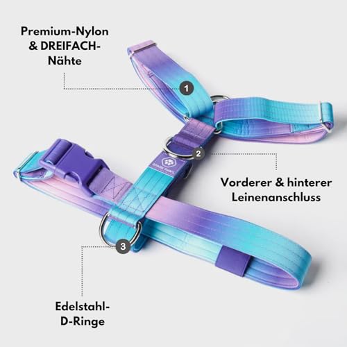 Spark Paws No Pull Hundegeschirr Grosse Hunde, Halterdesign mit Frontclip, Y Geschirr Hund, Robust und Strapazierfähig Harness für Große und Starke Rassen - 90s Retro, L
