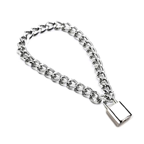 Succuba Padlock Necklace Metal Chain Collar Choker Heart Lock Necklace with Key and Box for Women, Men and Pet (C, 16)